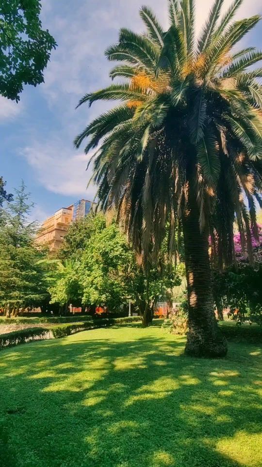 TikTok video thumbnail by cruisewhisperer