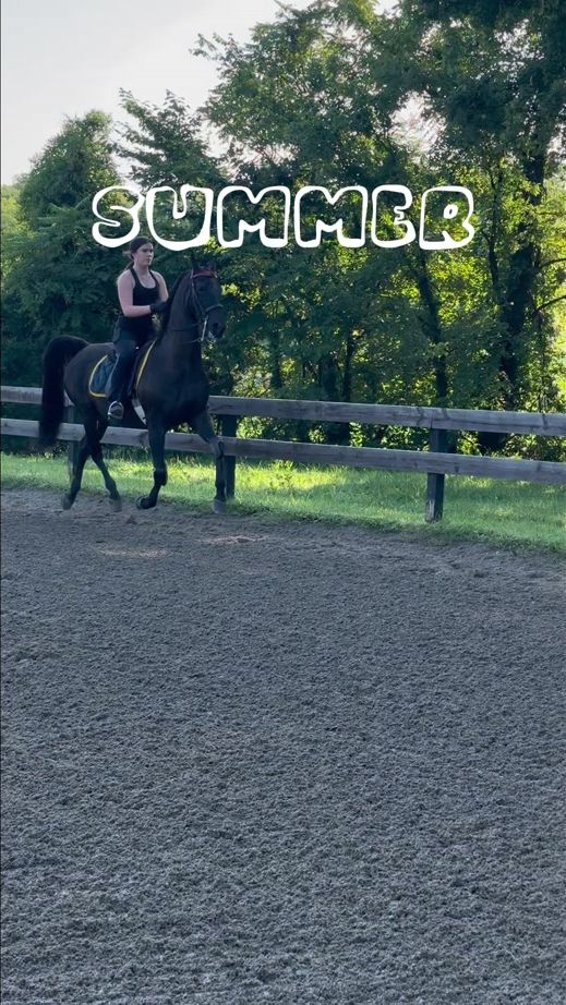 TikTok video thumbnail by emy.eq3
