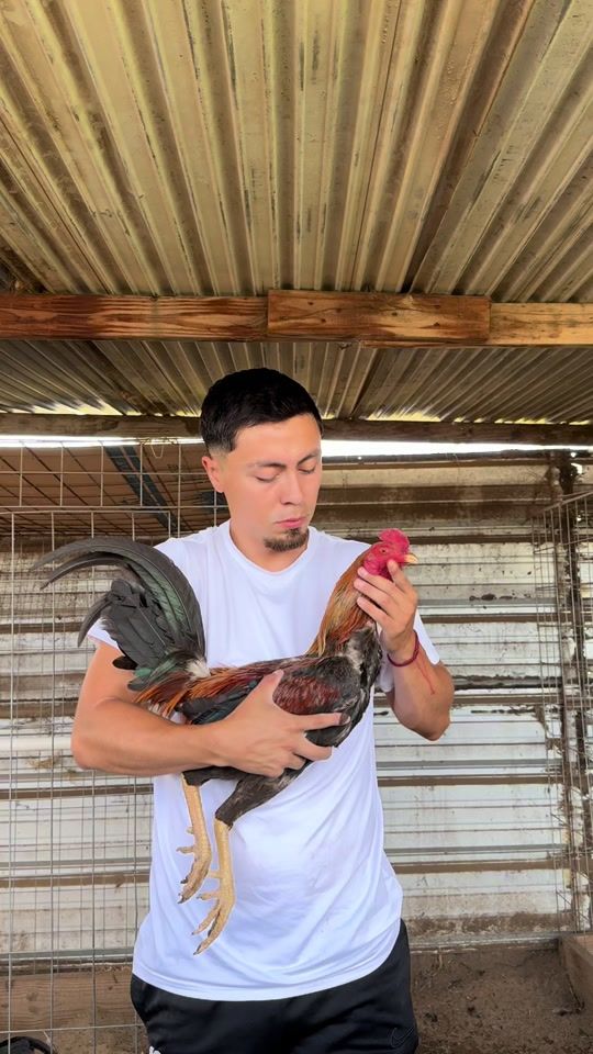 TikTok video thumbnail by el_migueee