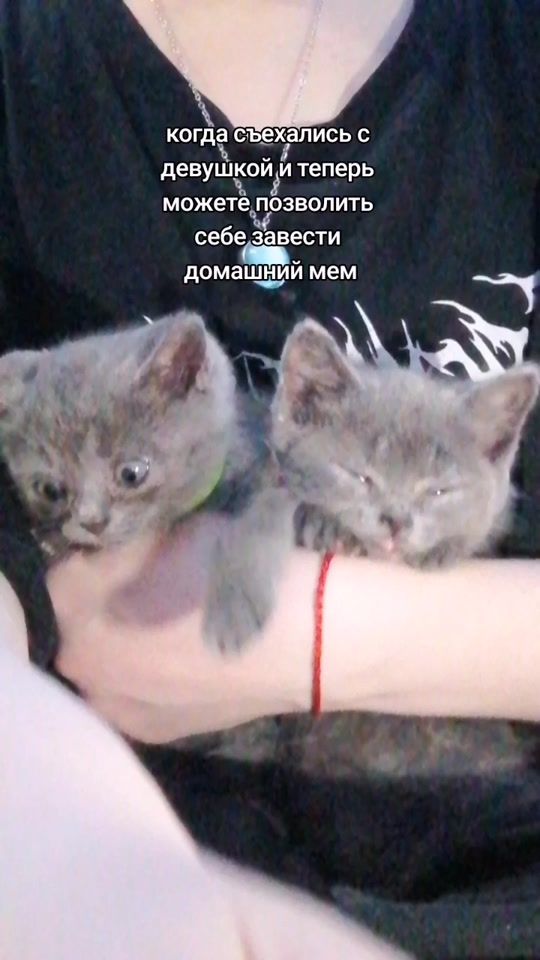 TikTok video thumbnail by mio__ccx