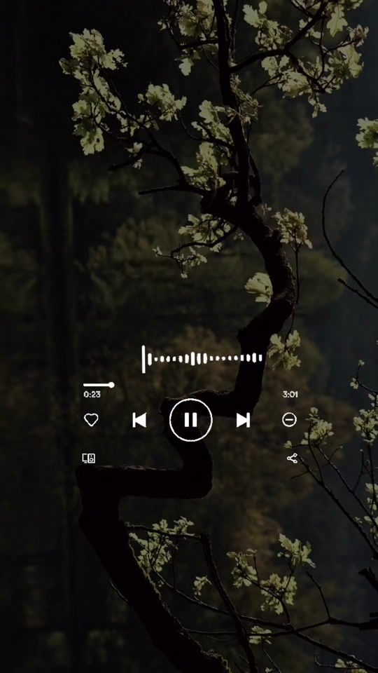 TikTok video thumbnail by icysr1