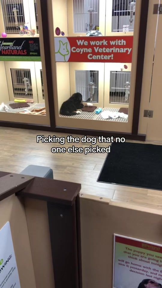 TikTok video thumbnail by michkay32