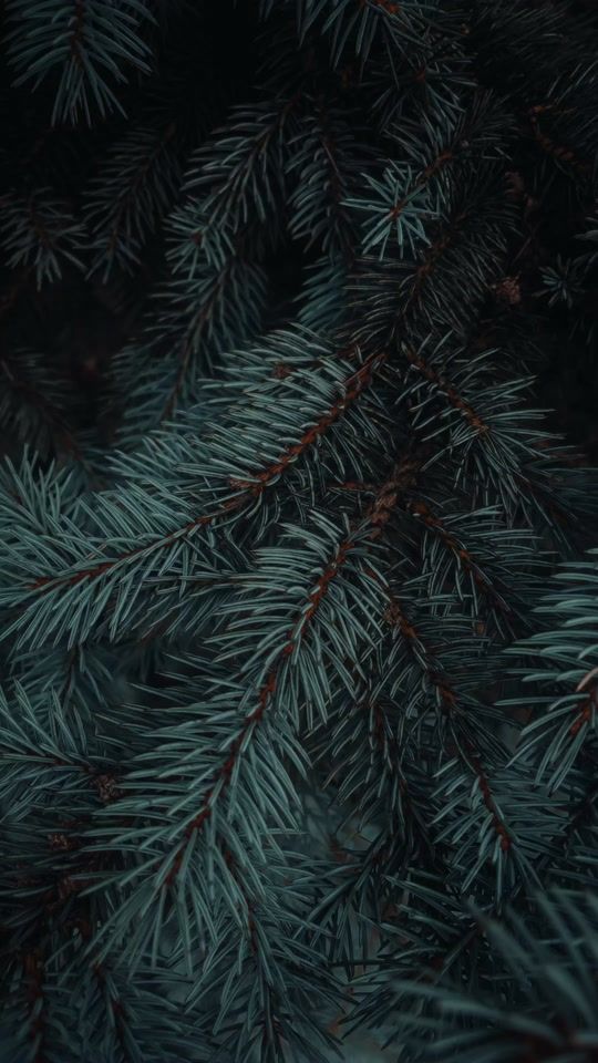 TikTok video thumbnail by iamcratic