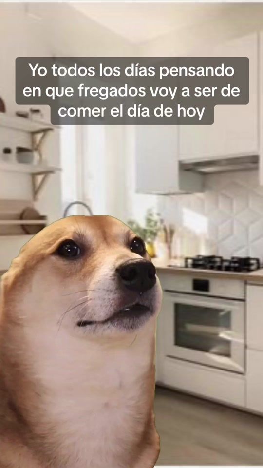 TikTok video thumbnail by loonie93