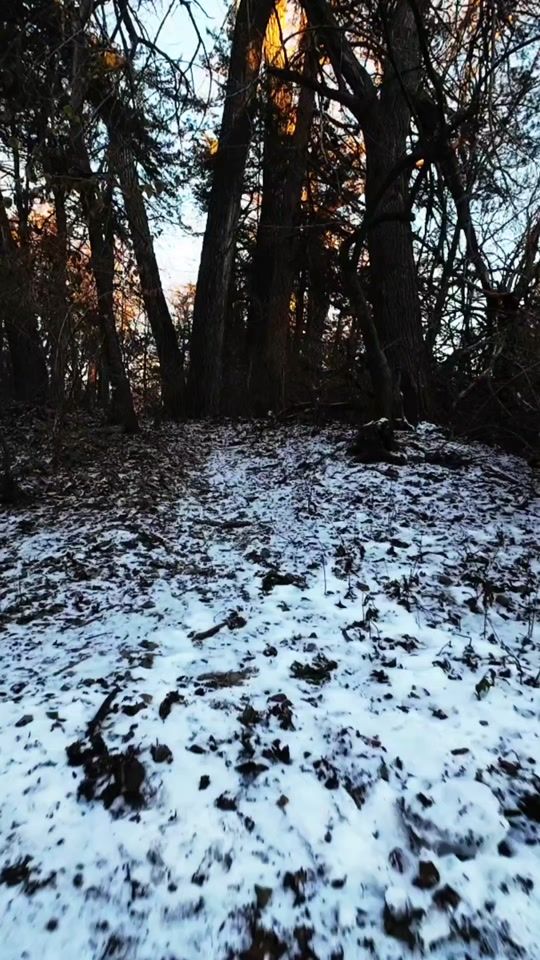 TikTok video thumbnail by derrickwaage