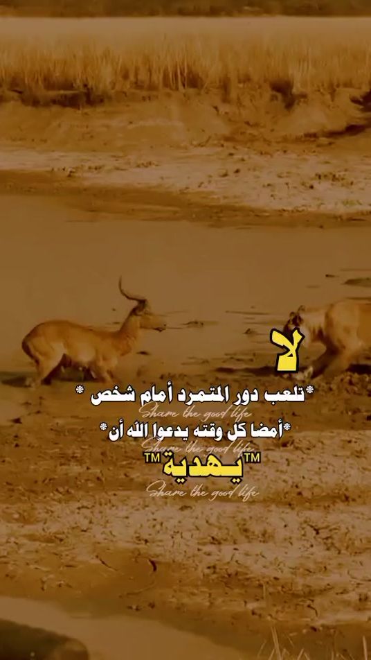 TikTok video thumbnail by t8_58r