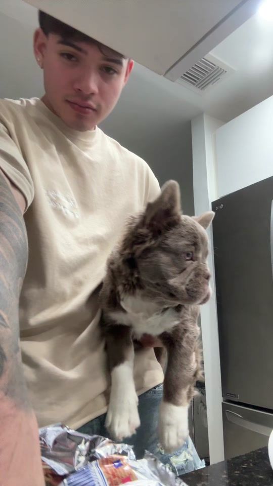 TikTok video thumbnail by _daviddelgado0