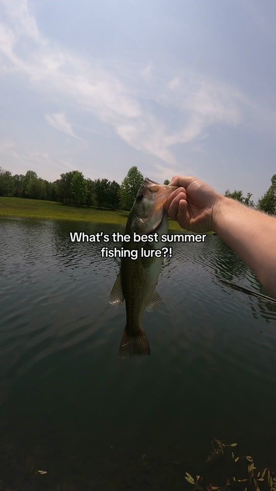 TikTok video thumbnail by grubbhub.fish