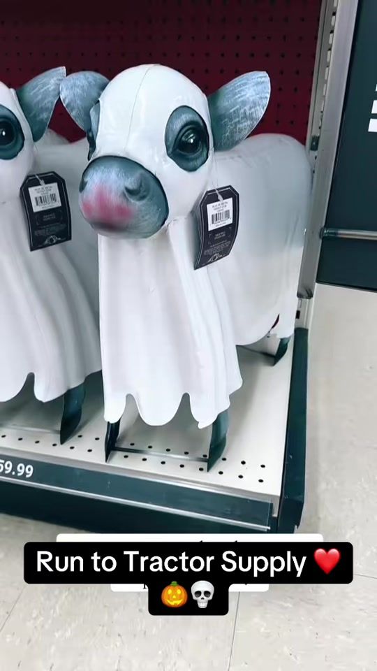 TikTok video thumbnail by kyleee.janee