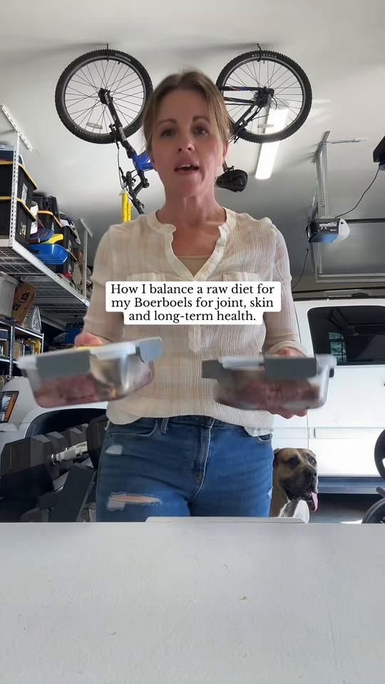 TikTok video thumbnail by fallon_boerboels