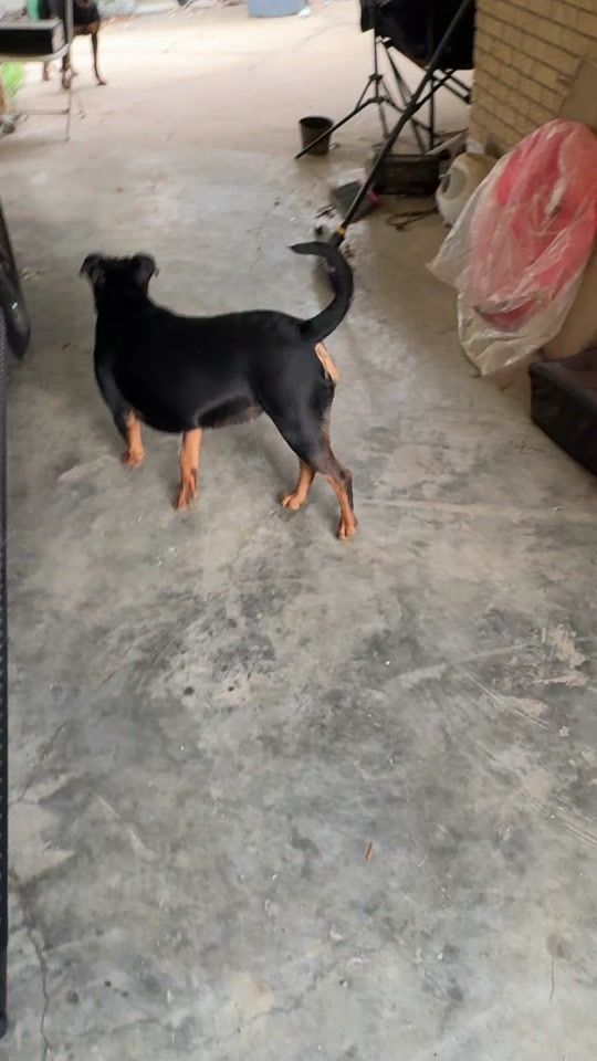 TikTok video thumbnail by darrylsworld86