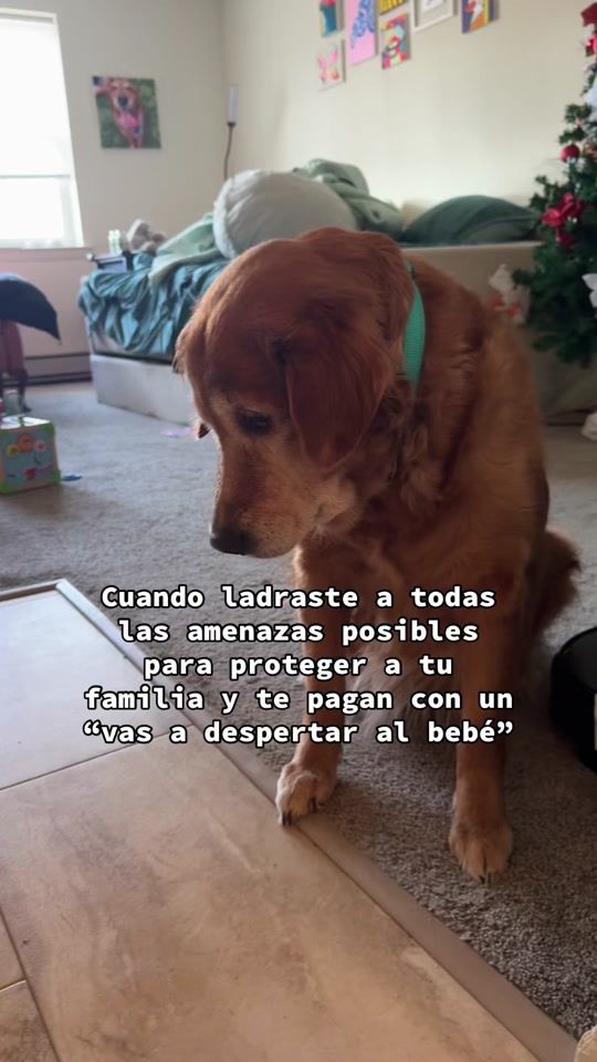 TikTok video thumbnail by belenparadab