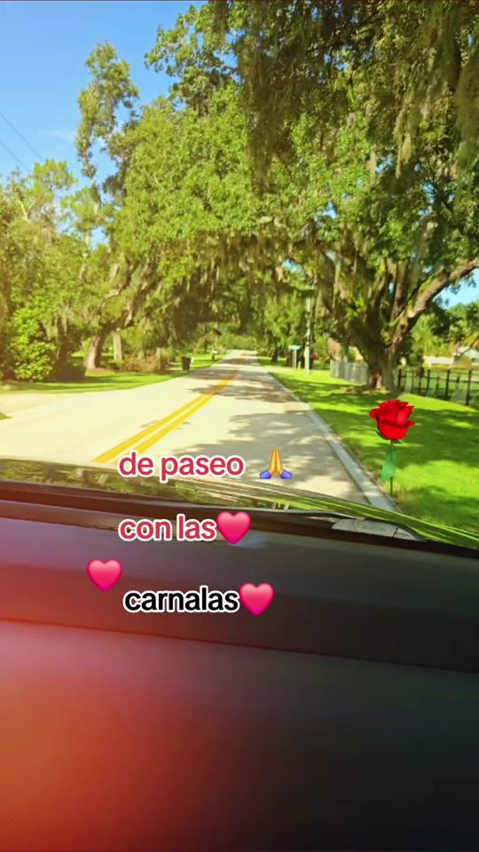 TikTok video thumbnail by sanchezmir