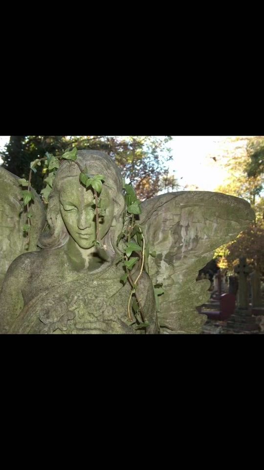 TikTok video thumbnail by vesperinesmoods