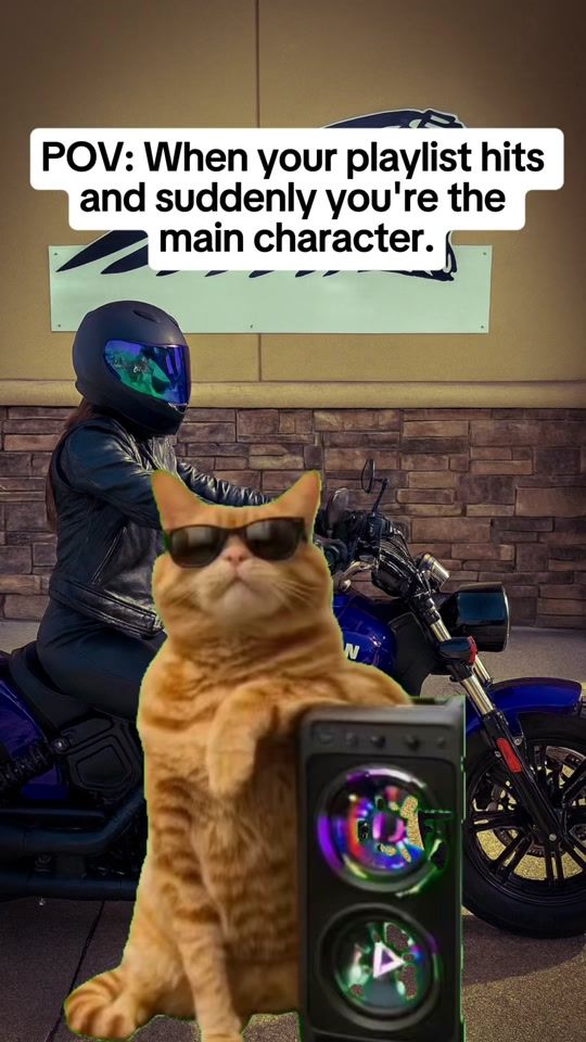 TikTok video thumbnail by beebeebarnes