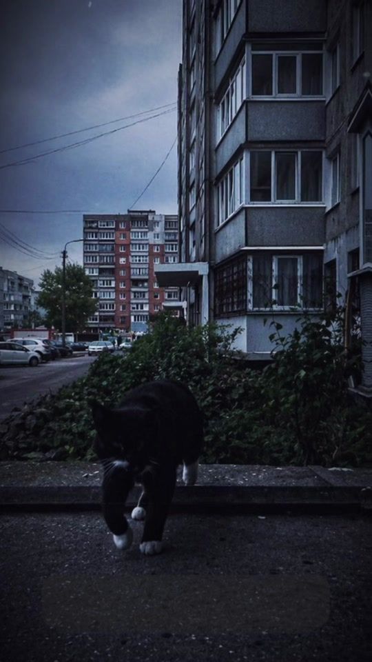 TikTok video thumbnail by ktotam.rap