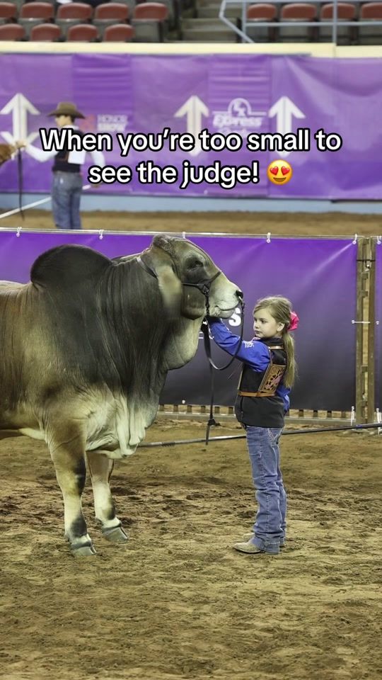 TikTok video thumbnail by thev6ranch