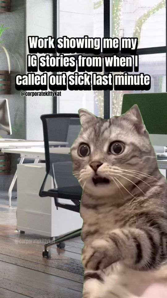 TikTok video thumbnail by corporatekittykat
