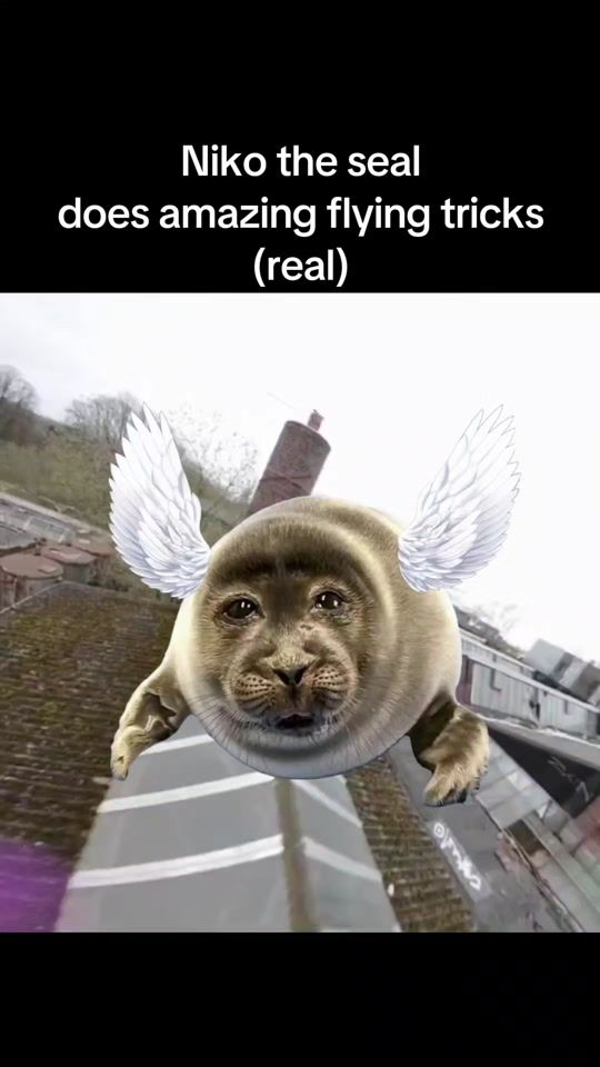 TikTok video thumbnail by tac_777