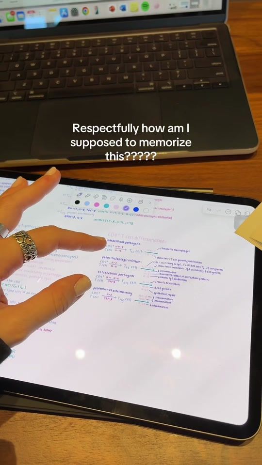 TikTok video thumbnail by brookeventer444