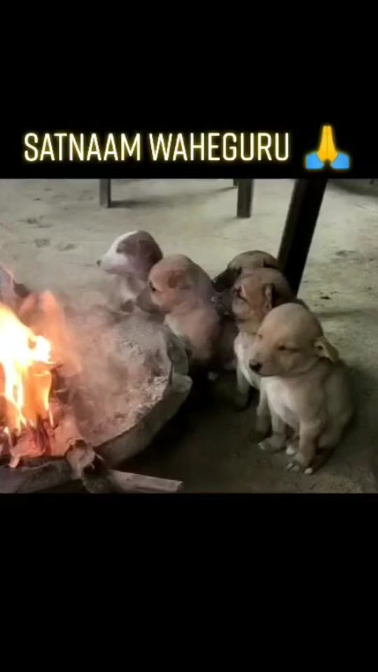 TikTok video thumbnail by dashisardar