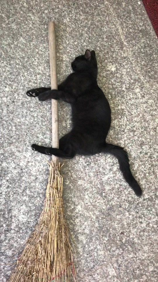 TikTok video thumbnail by wangfeng373