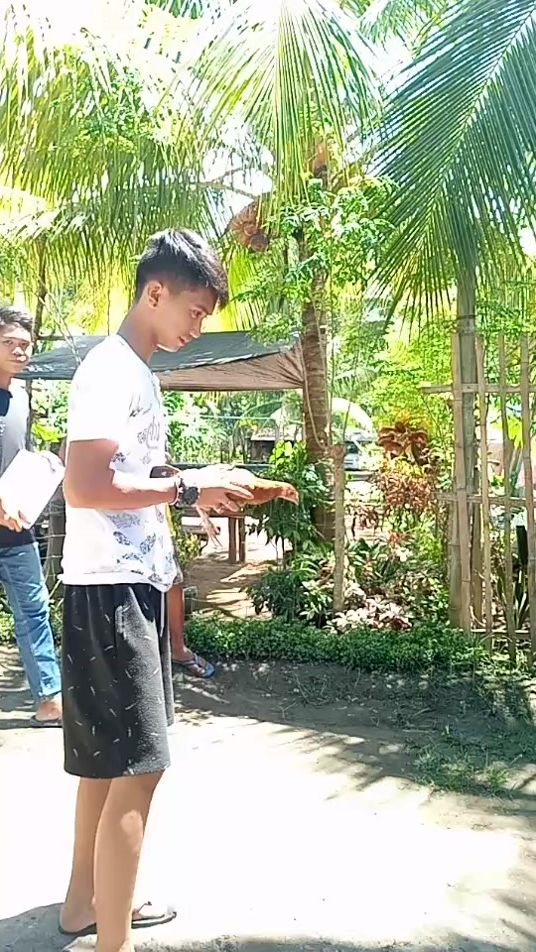 TikTok video thumbnail by kareenalapis