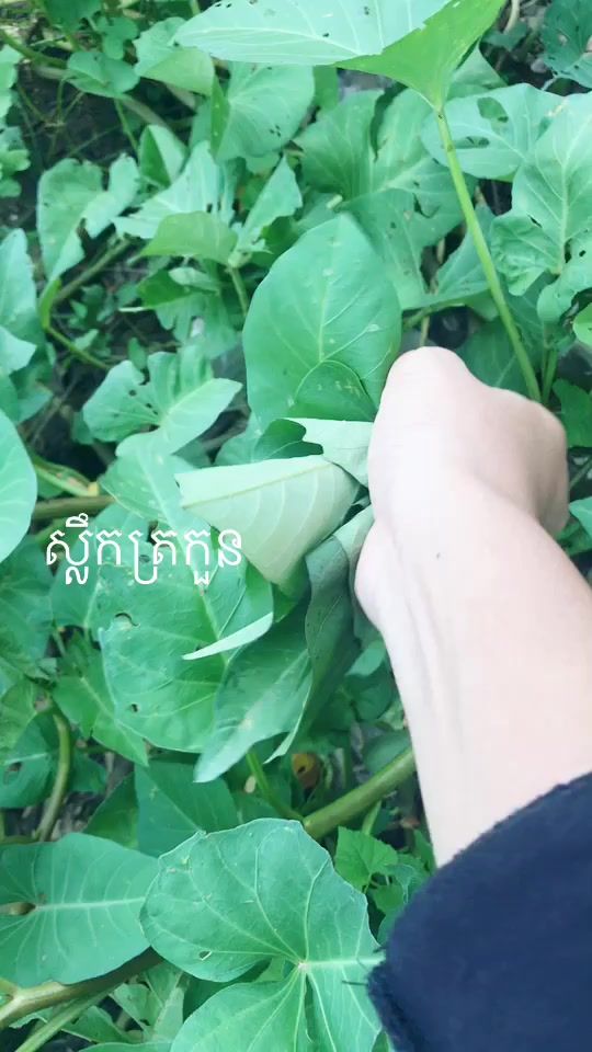 TikTok video thumbnail by r135791