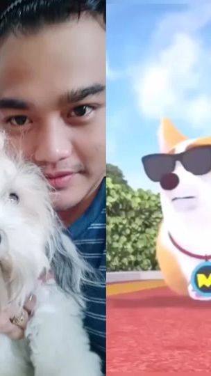 TikTok video thumbnail by petter_8