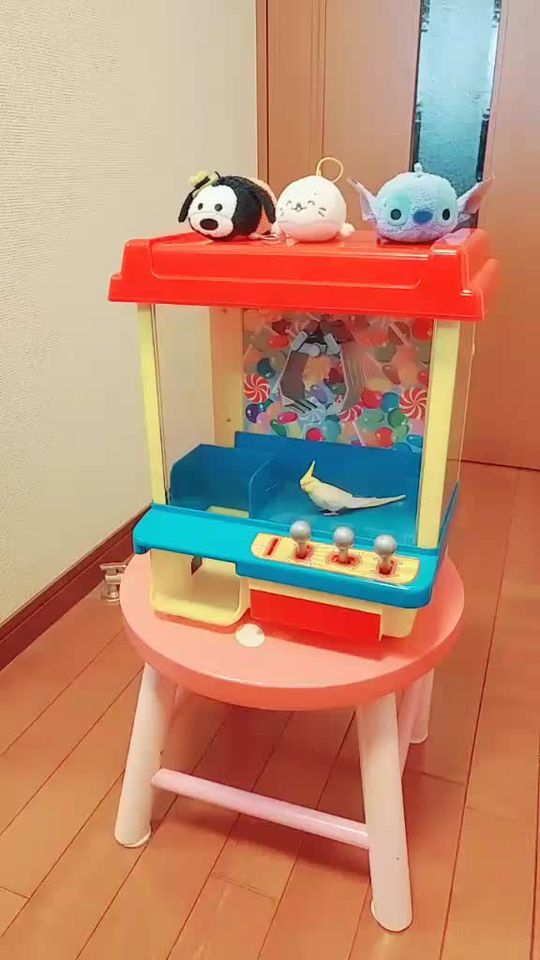 TikTok video thumbnail by userikt1gfiqve