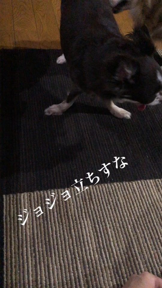TikTok video thumbnail by 7mlx.p