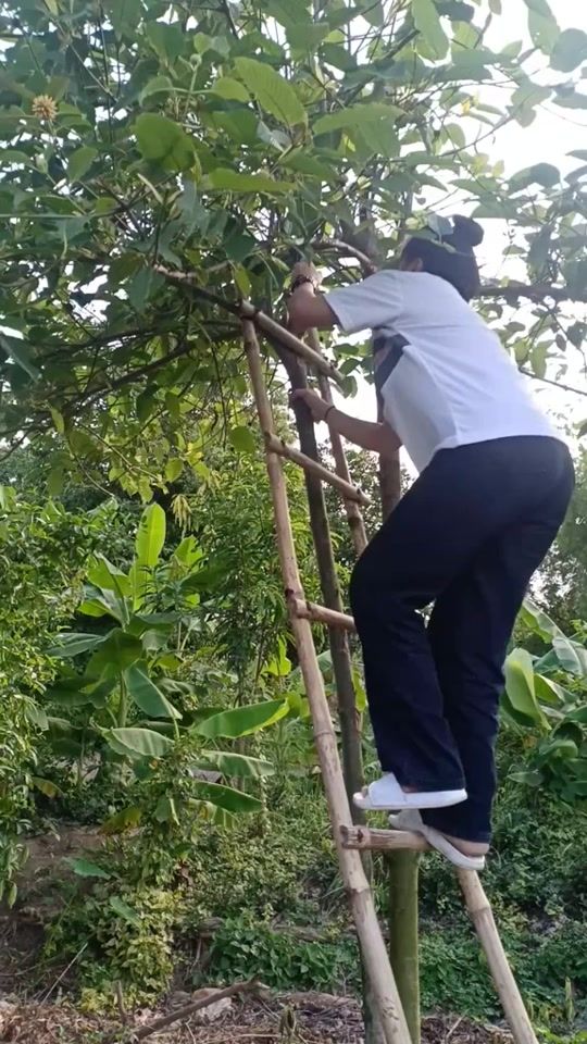 TikTok video thumbnail by mookkii15