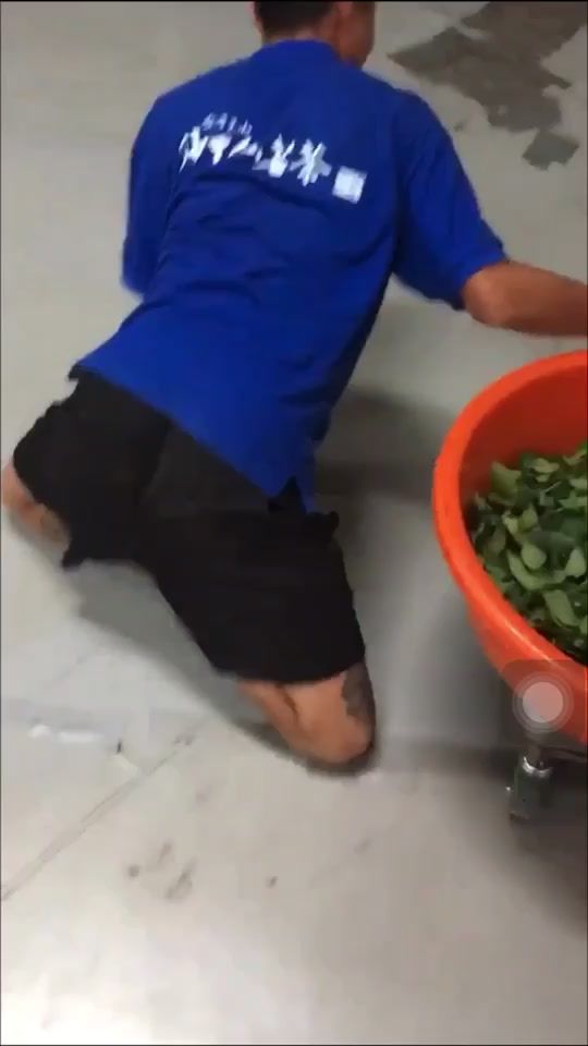 TikTok video thumbnail by fengcat131