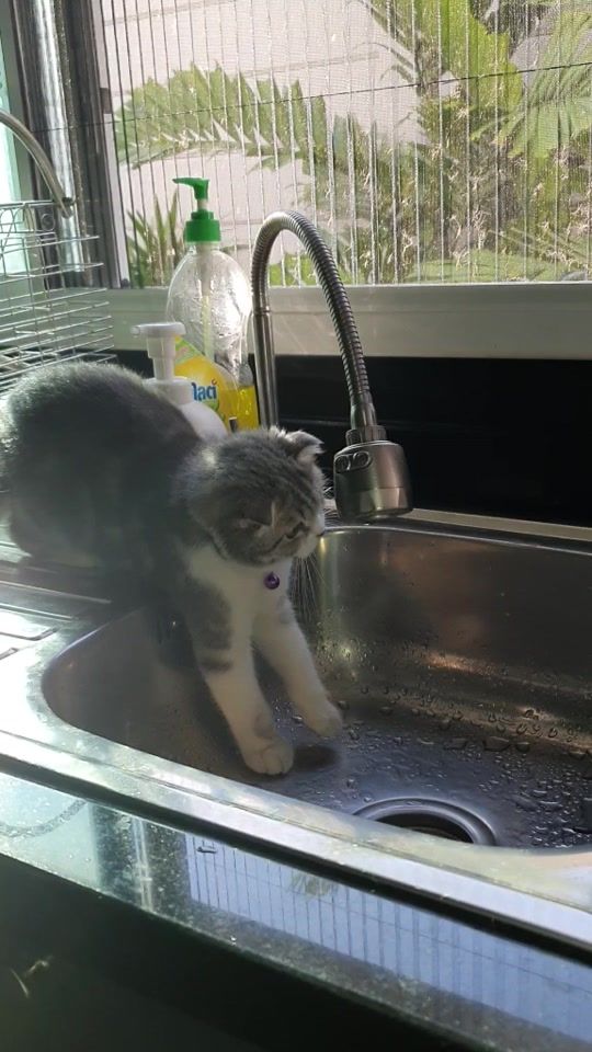 TikTok video thumbnail by iammedbua