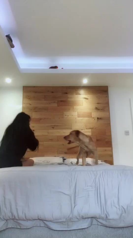 TikTok video thumbnail by izzy_ploysai