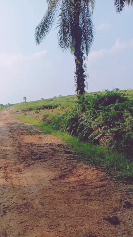 TikTok video thumbnail by 31483562273