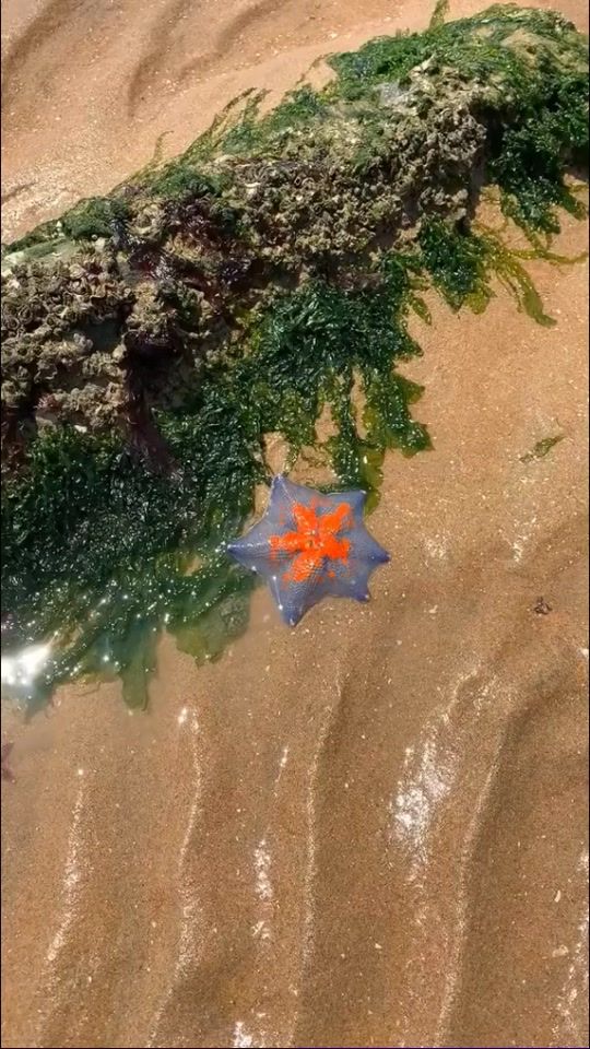 TikTok video thumbnail by yeubien