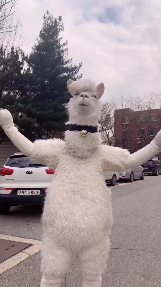 TikTok video thumbnail by inssa_rama