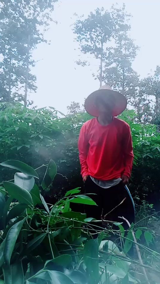 TikTok video thumbnail by chaiwat_ford