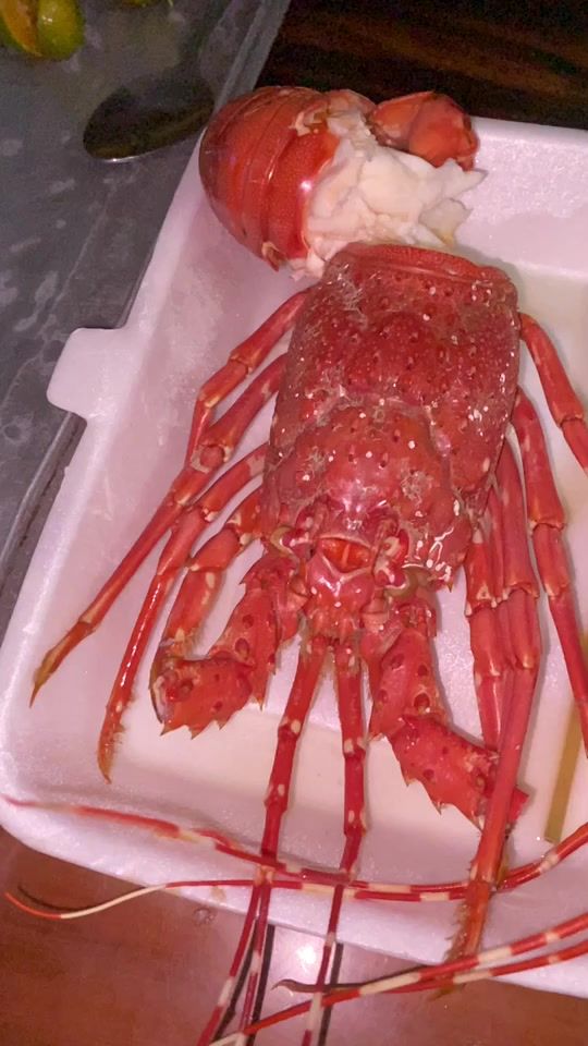 TikTok video thumbnail by trumxanhla279