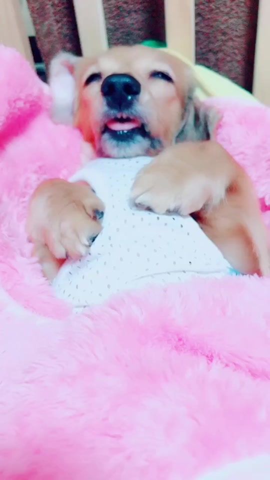 TikTok video thumbnail by chal.1105