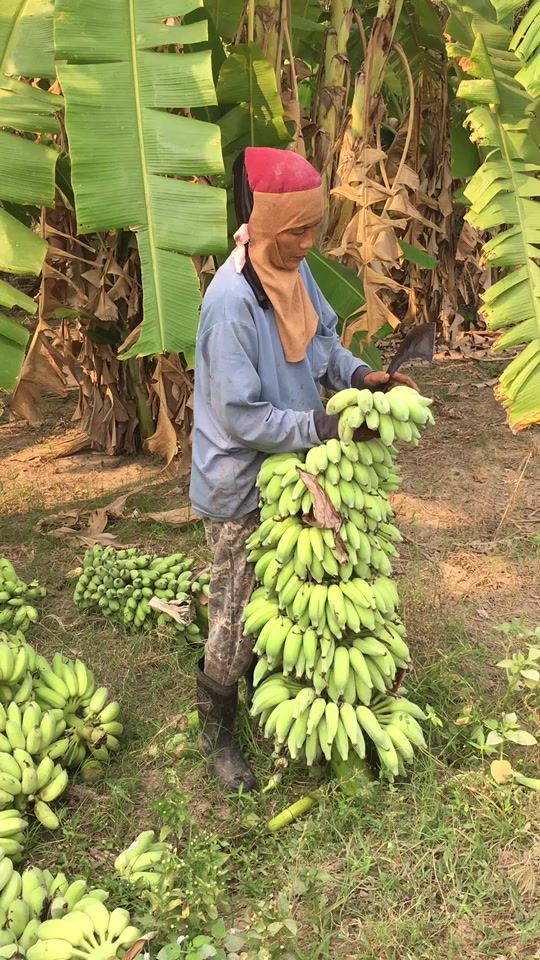 TikTok video thumbnail by wan245689