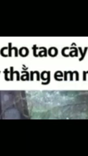 TikTok video thumbnail by hoangholang