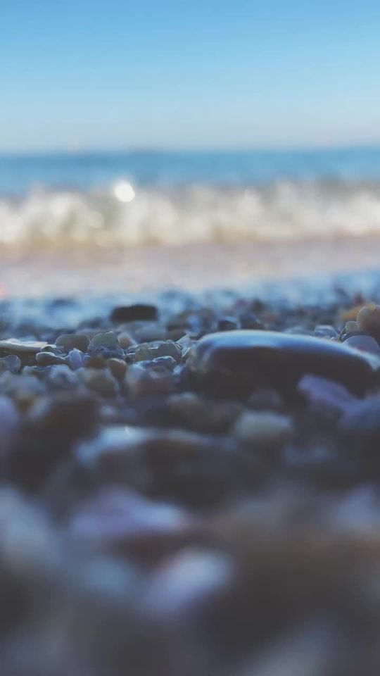 TikTok video thumbnail by animalsroki