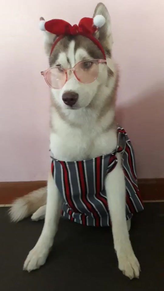 TikTok video thumbnail by yoyoh26