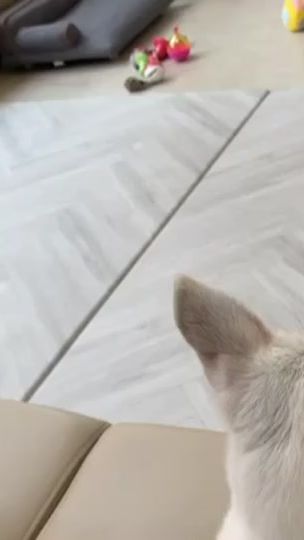 TikTok video thumbnail by seripak1998
