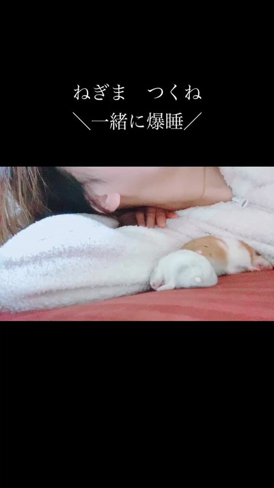 TikTok video thumbnail by kagetu_s2