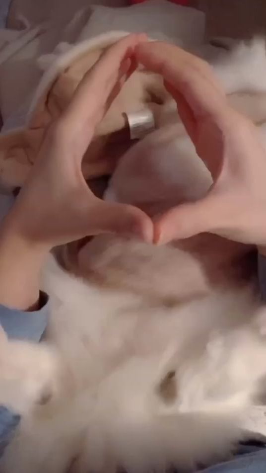 TikTok video thumbnail by cri_bebe